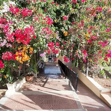 Pool & Gardens - Alisios Playa Apartment *