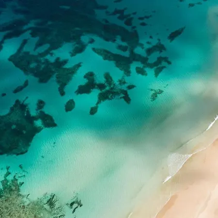 Pool & Gardens - Alisios Playa Apartment Corralejo