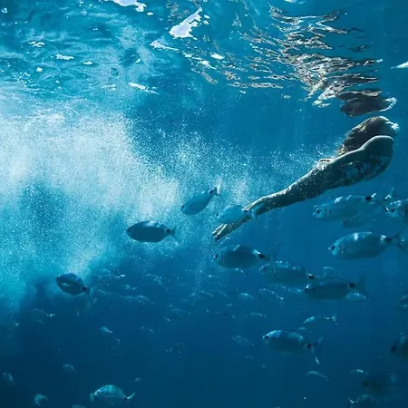 Daire Pool & Gardens - Alisios Playa Corralejo